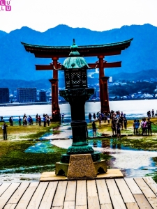 Torii du sanctuaire d'Itsukushima